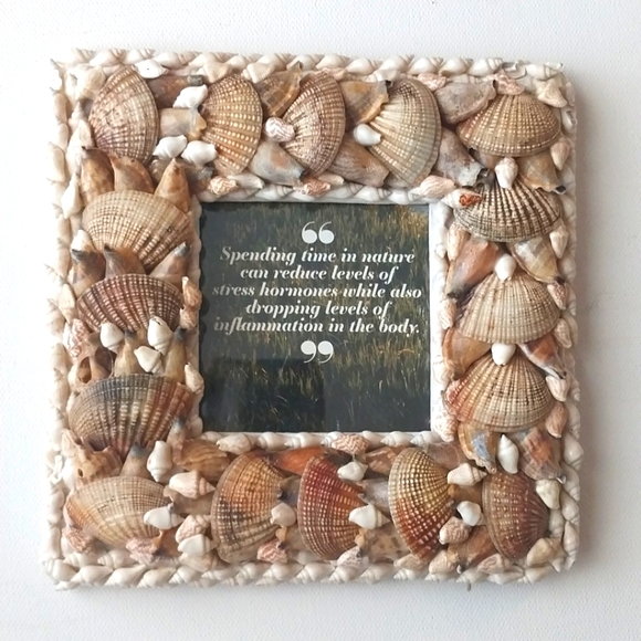 Shells Genuine Picture Frame - Picture 1 of 4